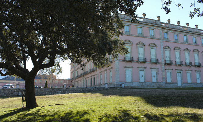 Entorno Palacio Real de Riofrío