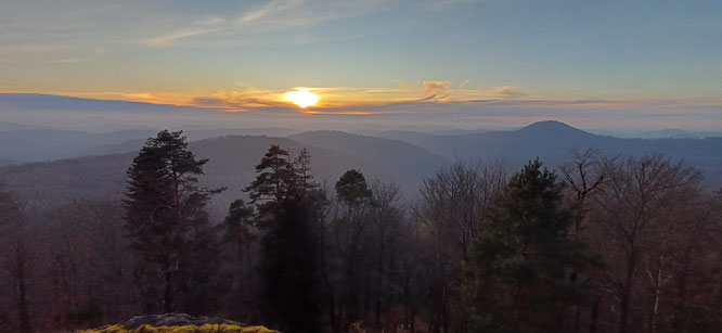 Wandern Freiluft Atelier Pfälzerwald Naturerleben Waldbaden Stille Weite Entschleunigung
