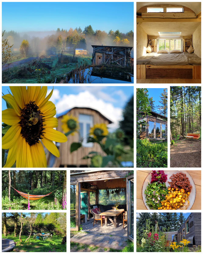 Freiluft Atelier, Permakultur, Lebenskunst, Kunstort, Bildungskunst, Kunstinstallation, TinyHaus, Naturbadeteich, Bau[m]wagen, Jurte, Waldgartenküche, Ruheinseln, Vitalkost..