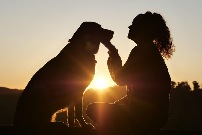 Ein schönes Hundeleben, Frau mit Hund auf einer Wiese im Sonnenaufgang