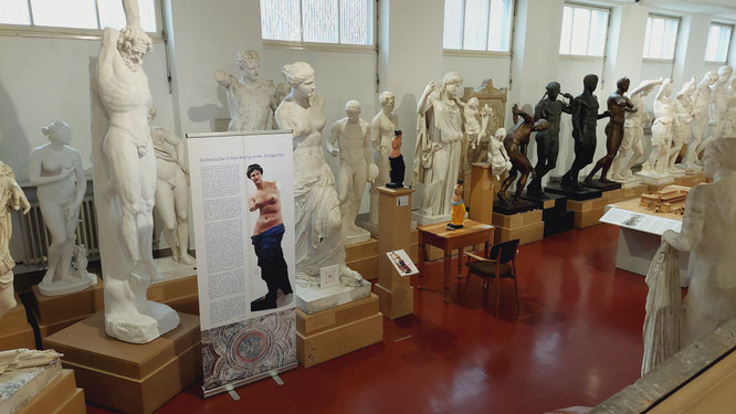 Ausstellung „Farben sehen“ in der Antikensammlung der FAU Erlangen-Nürnberg, März 2024