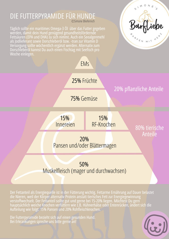 Futterpyramide für Hunde BARF