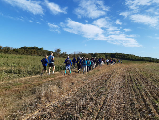 18 septembre 2019  - St Flelix   - Mont César . rando  12 km .