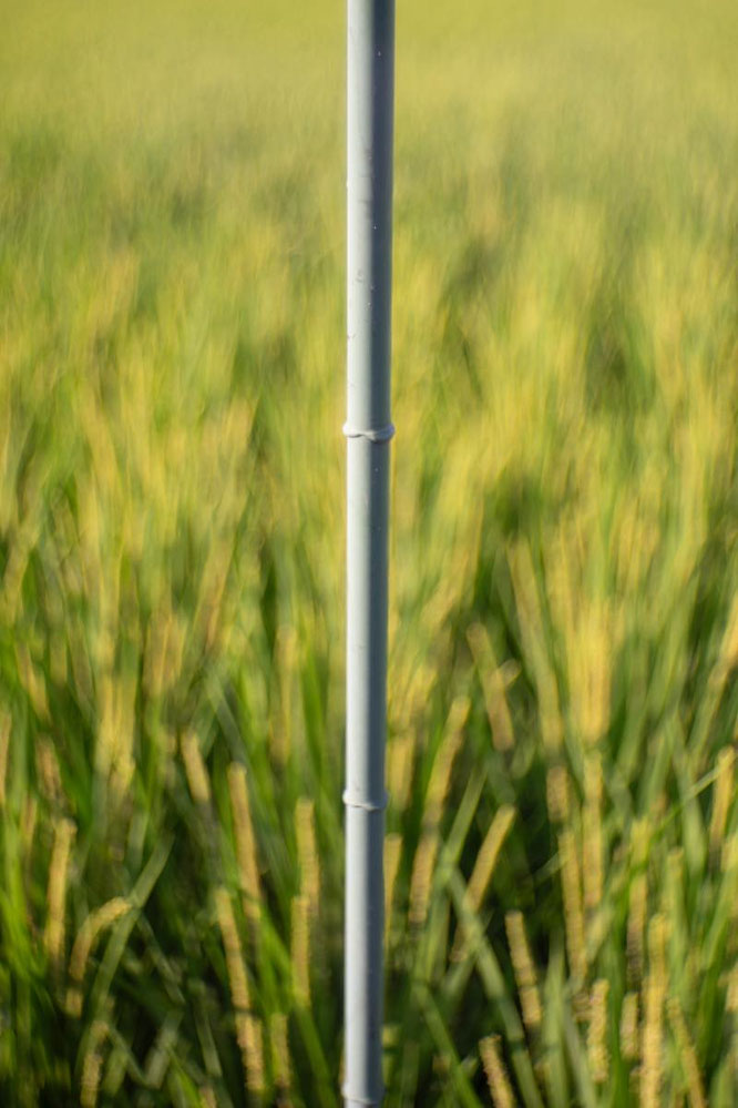 SONY ILCE-7R/Plympus Projection Zuiko 1:2.8 f=5.5cm