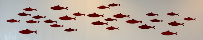 Bild: Fische