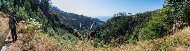 Bild: Wandern an der Levada