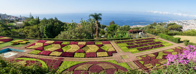 Bild: Jardin Botânico