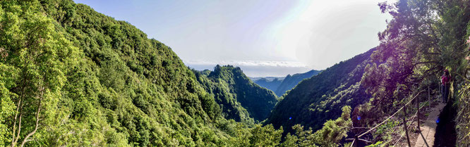 Bild: Blick auf die Berge