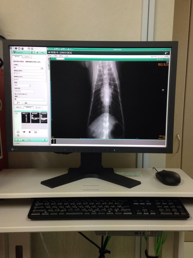 診察時間 アニマルクリニック・クローバーのホームページ