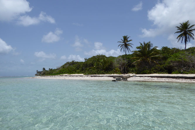 Plage de bois jolan, Grande Terre.