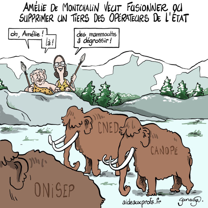 Amélie de Montchalin promet la réduction d'un tiers des opérateurs de l'Etat