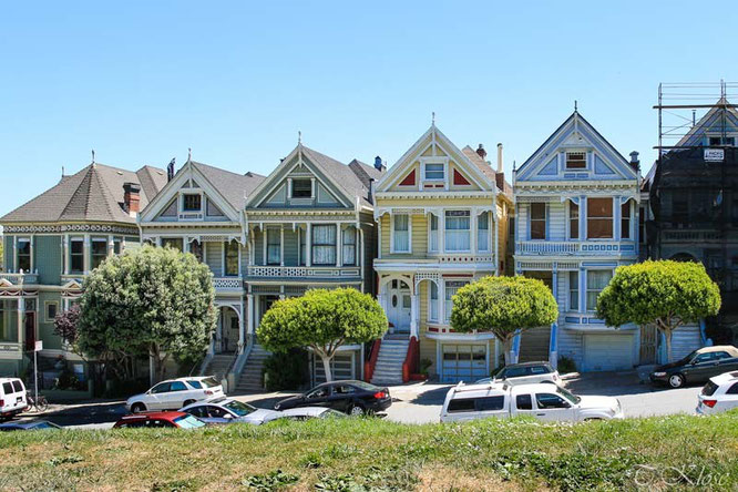 San Francisco Painted Ladies