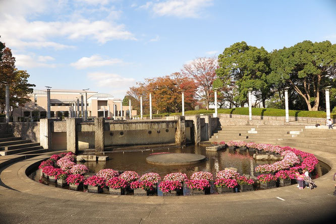 噴水広場は四季折々の花が咲きます