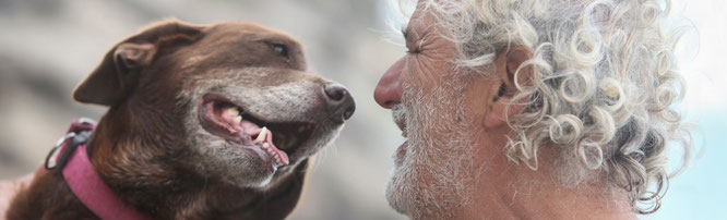 Wann sind Hunde und Katzen alt? Ein Test