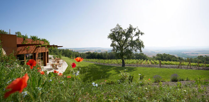 © ADLER THERMAE Spa & Relax Resort