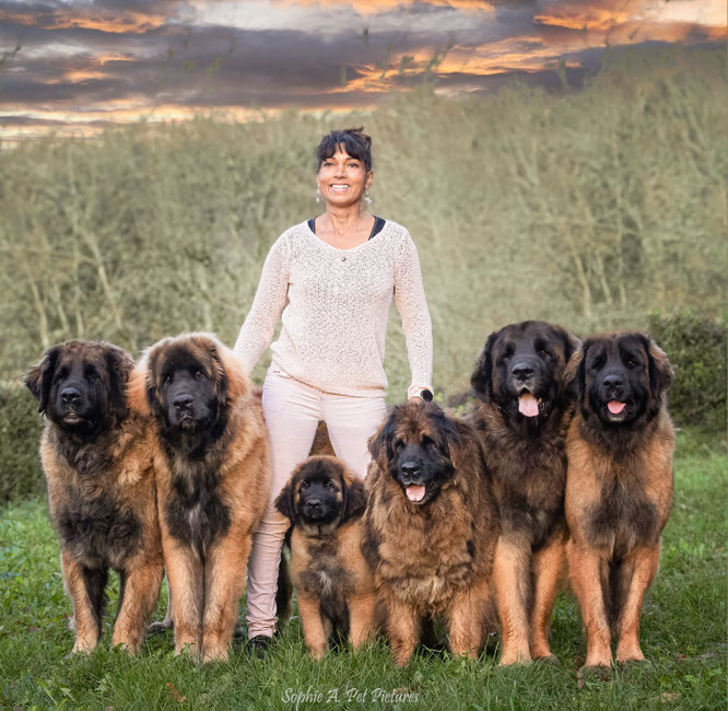 LEÏA, VIGRID, VIVIENNE, BRONTY, TITAN, PEARL (décembre 2024)