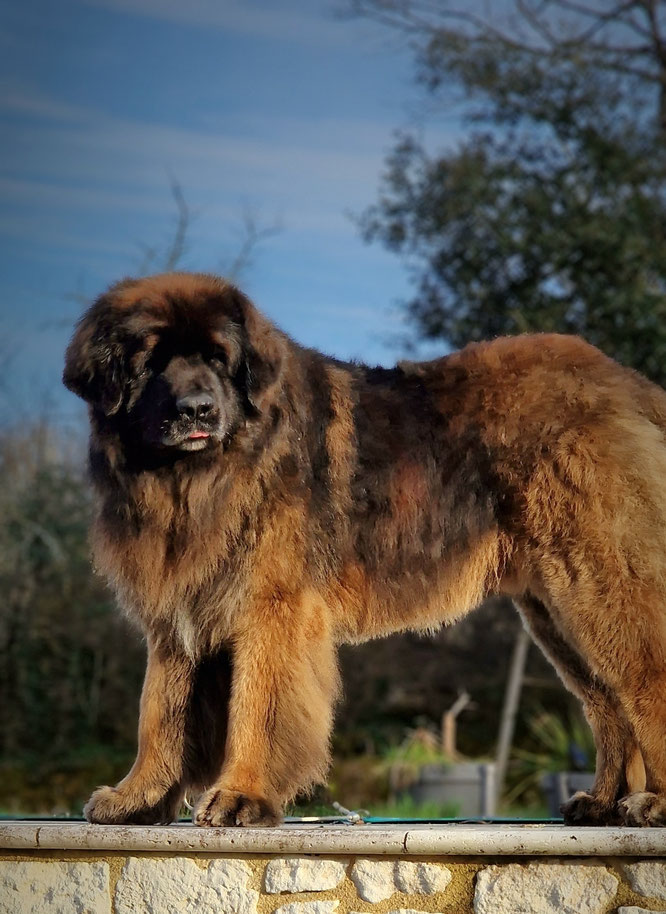 RACKHAM 5 ANS