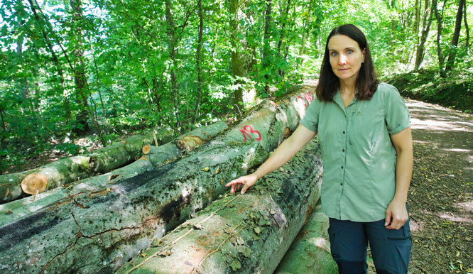 Martina Herzog ist seit dem Jahr 2011 die Försterin im Kleinblittersdorfer Gemeindewald.