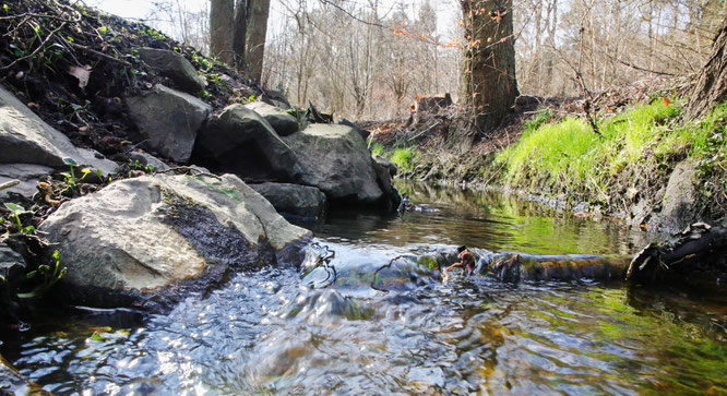 Bäche und kleine Flüsse im Saarland führen zu wenig Wasser.