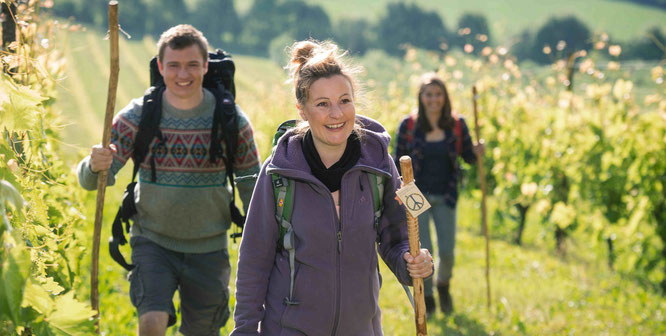 Die Volkshochschule und der Regionalverband Saarbrücken bietet in Kooperation mit Vereinen und Wanderführern 13 Themenwanderungen in den Herbst- und Wintermonaten an.