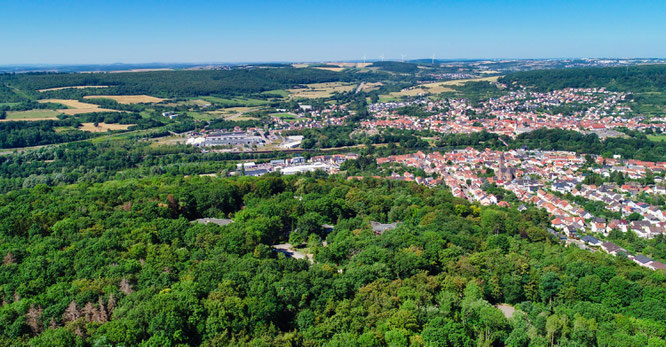 Ein Teil des Gemeindewalds in Kleinblittersdorf.