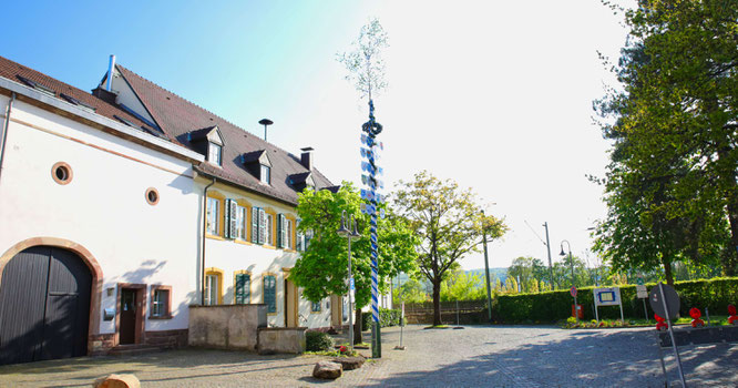 Kleinblittersdorfer Ortsvereine stellten den Maibaum vor dem Historischen Rathaus auf.