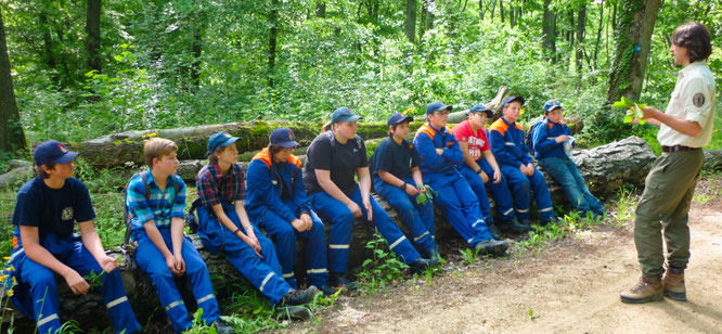 Michael Kessler erklärt jungen Feuerwehrleuten die Natur