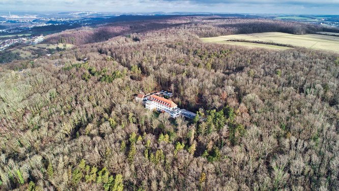 Dieses etwa 50 Hektar große Waldstück in Kleinblittersdorf gehört dem Regionalverband. Die Grünen hätten gerne, dass es die Gemeinde kauft.