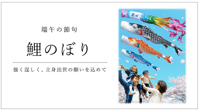 鯉のぼり　強く逞しく、立身出世の願いを込めて