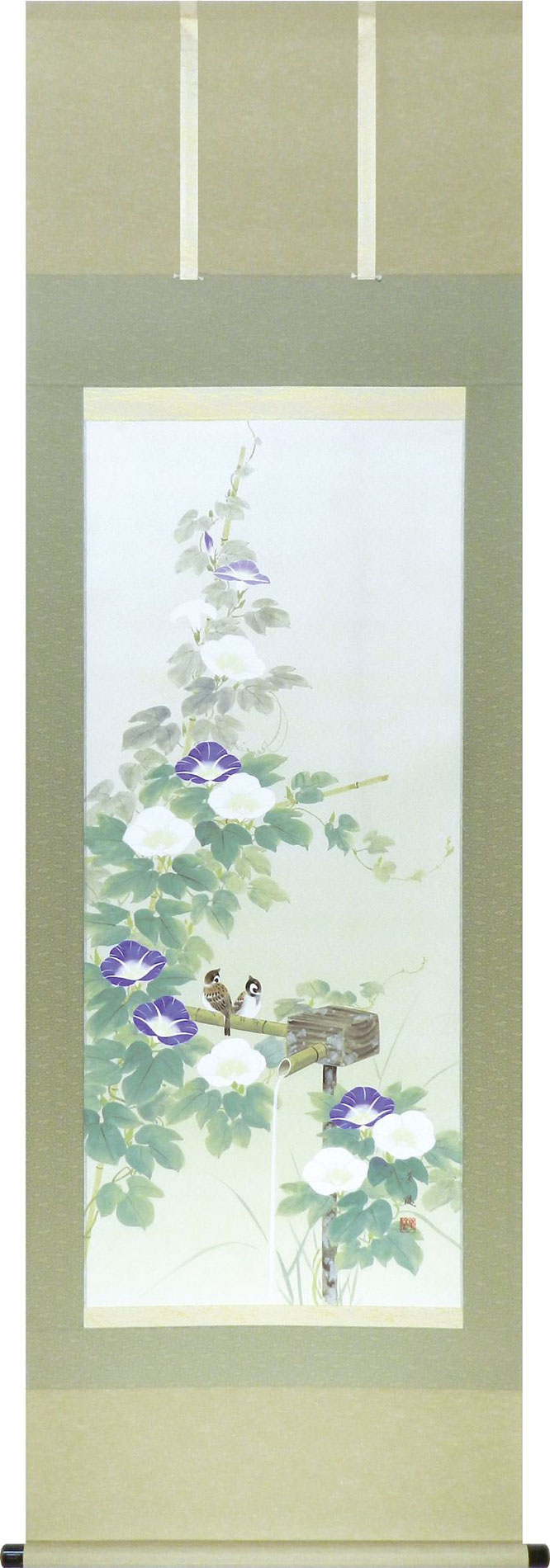 掛軸「朝顔」出口華凰 尺五立（A-1529） - 伽楠（かなん）