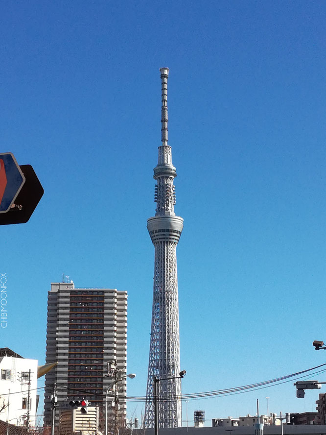 Der Skytree von Asakusa-ku aus betrachtet