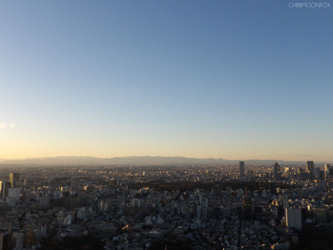 View to the Mt. Fuji direction