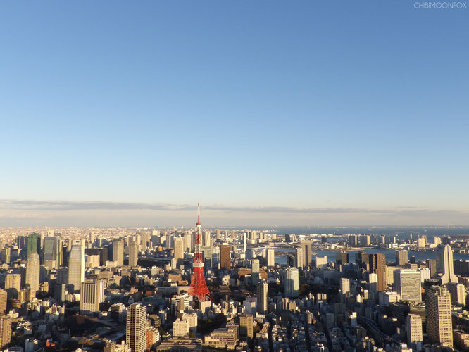 View of the Tokyo Tower from the Mori Tower Sky Deck