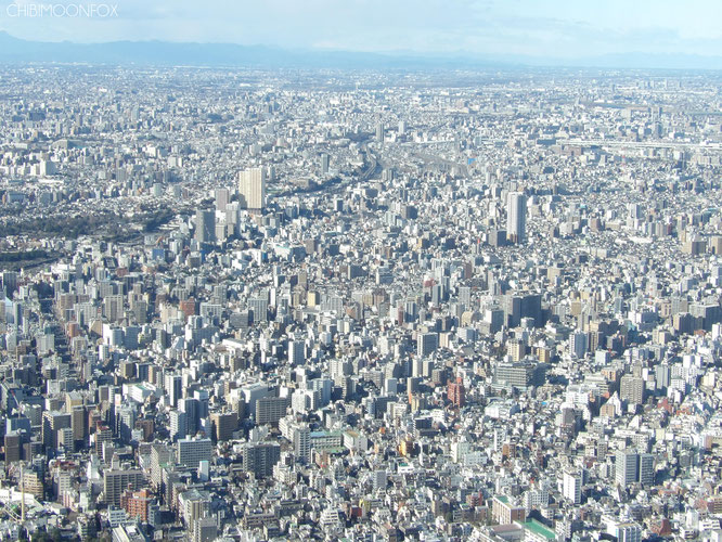 Von der Tembo-Galerie aus gesehen wirken die Hochhäuser Tokyos nur wie winzige Bauten. Blick in Richtung Ibaraki (links) und Chiba (rechts).