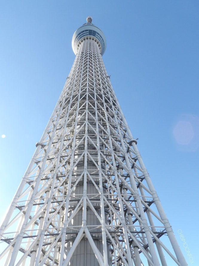 Das imposante Stahlskelett des Skytrees von unten