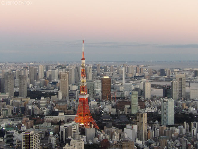 Tokyo Tower after the sun set