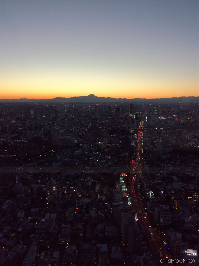 View from the Observatory Deck after the sun set behind Mt. Fuji