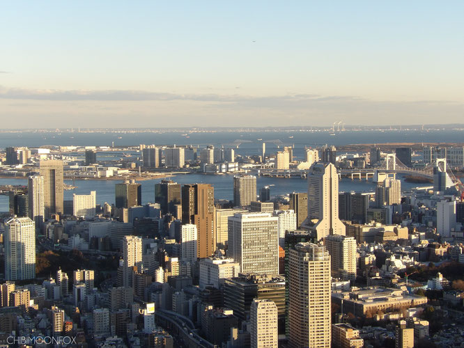 View to the Odaiba direction featuring the Rainbow Bridge