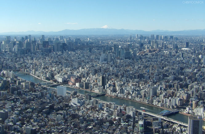 Blick in Richtung Tokyo Zentrum mit Mt. Fuji in der Ferne