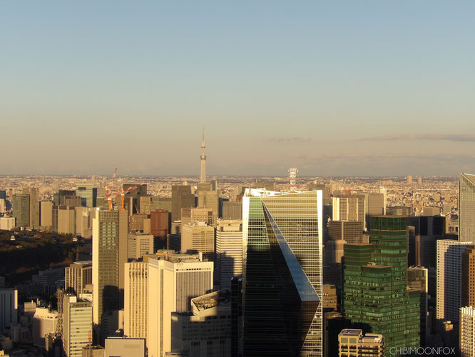 Nice view of the Tokyo Skytree