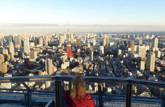 Stunned by this beauty of a view