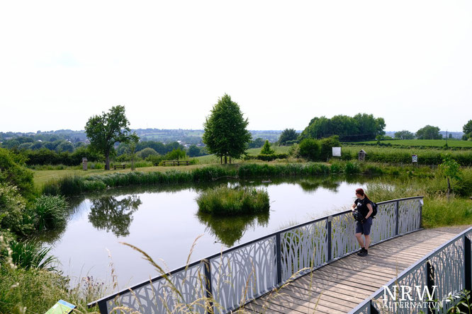 Frau mit Fahrradhelm schaut auf einen See, im Hintergrund Hügel und Bäume. 