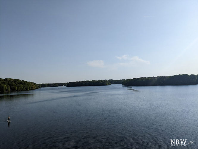 Ein See mit Bäumen in Duisburg.