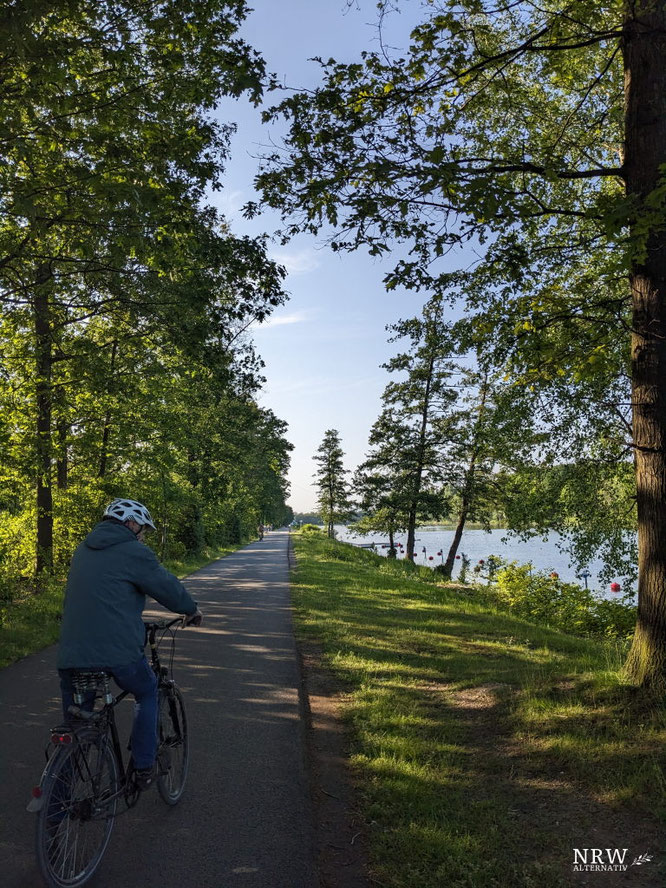 Ein Radfahrer zwischen Wasser und Bäumen in Duisburg.
