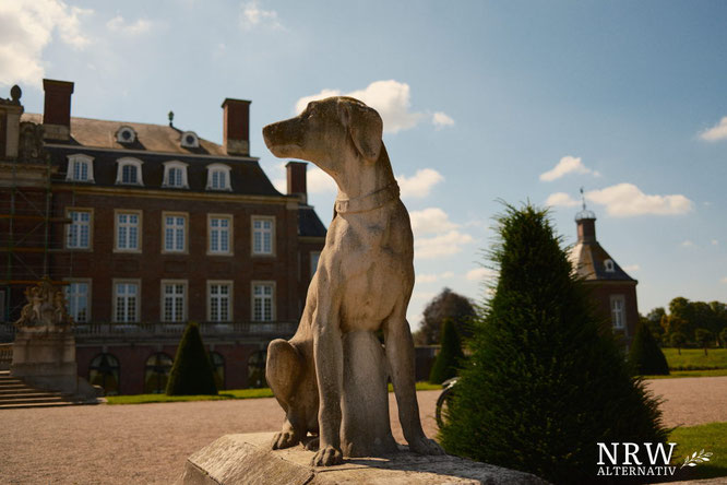 Eine Hundestatue aus Stein vor einem herrschaftlichen Gebäude.