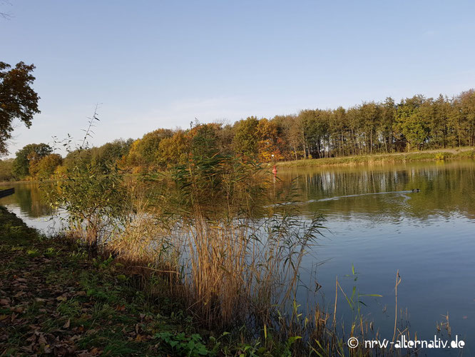 Hier sieht man flaches Wasser mit Baumbewuchs im Hintergrund - vermutlich ein Kanal. 