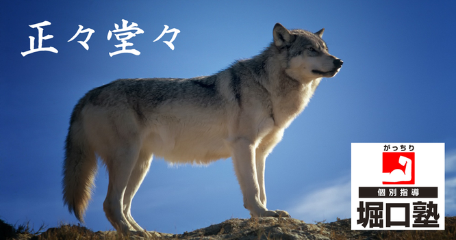 正々堂々！平塚中等抜群の合格率45%超！高校受験では湘南高校合格!!
