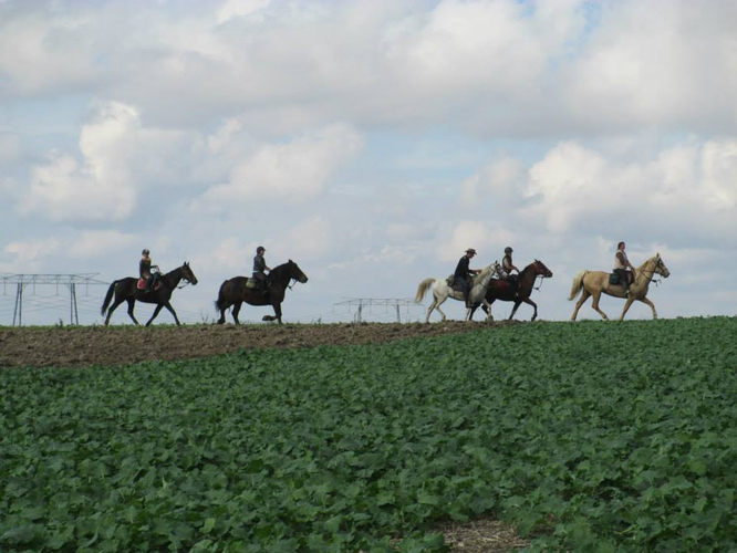 Site de loisirsequestresdechauray !