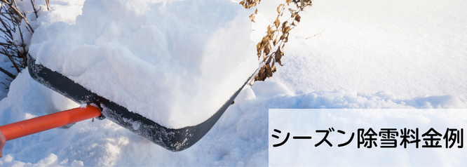 札幌格安シーズン除雪の料金例