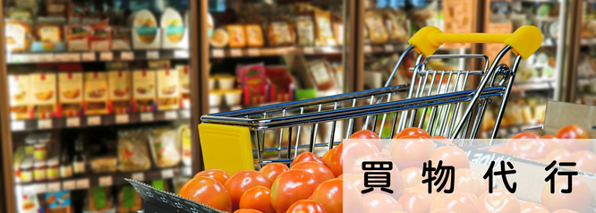 札幌安い買物代行の料金例
